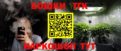 тгк Камышлов